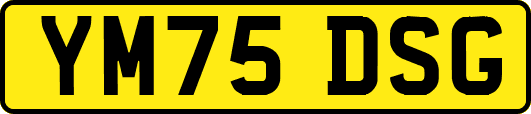 YM75DSG