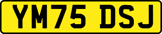 YM75DSJ