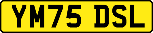 YM75DSL