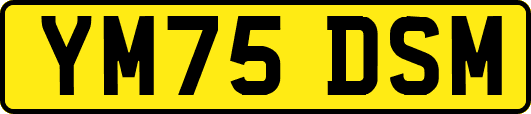 YM75DSM