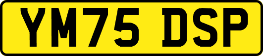 YM75DSP