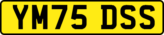 YM75DSS