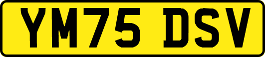 YM75DSV