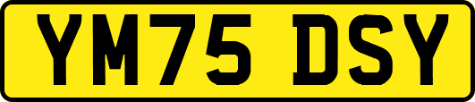 YM75DSY