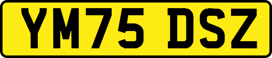 YM75DSZ