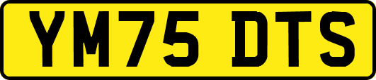 YM75DTS