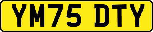 YM75DTY