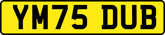 YM75DUB