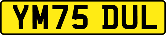 YM75DUL
