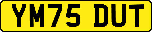 YM75DUT
