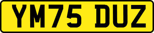 YM75DUZ
