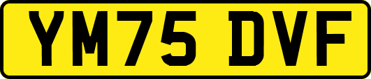 YM75DVF