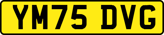 YM75DVG