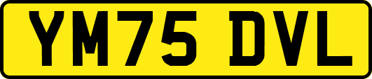 YM75DVL