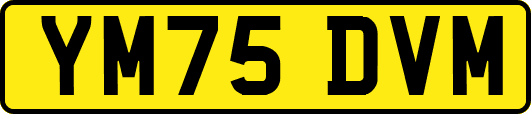 YM75DVM