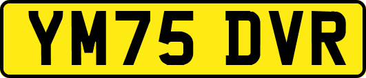 YM75DVR
