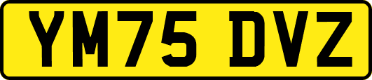 YM75DVZ