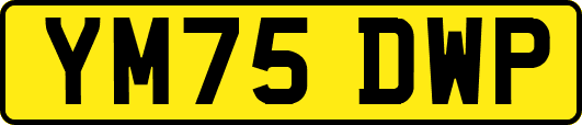 YM75DWP