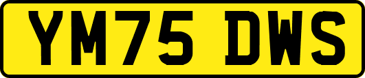 YM75DWS