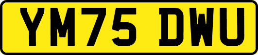 YM75DWU