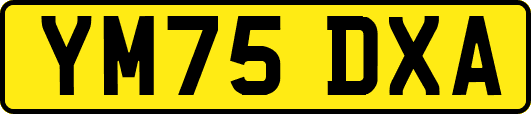 YM75DXA