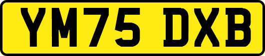 YM75DXB