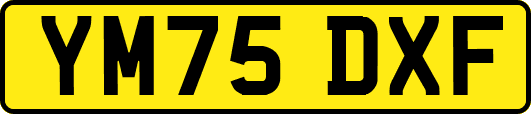 YM75DXF