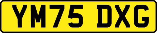 YM75DXG