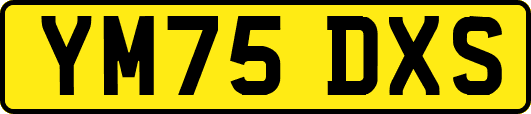 YM75DXS