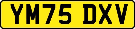 YM75DXV