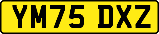 YM75DXZ