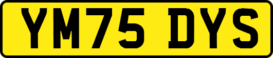 YM75DYS