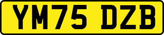 YM75DZB