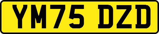 YM75DZD