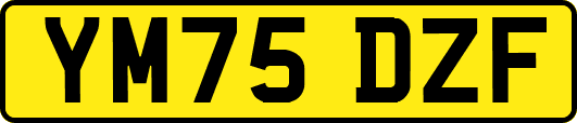 YM75DZF