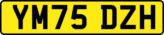 YM75DZH