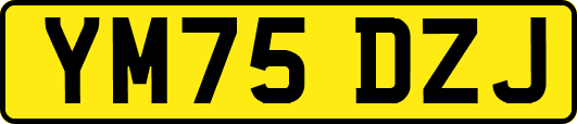 YM75DZJ