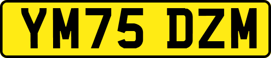 YM75DZM