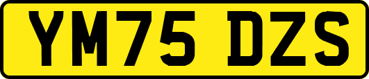 YM75DZS