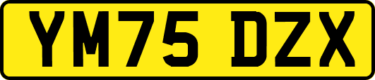 YM75DZX