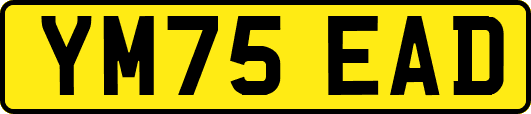 YM75EAD