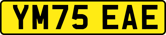 YM75EAE