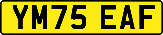 YM75EAF