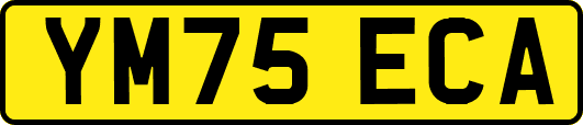 YM75ECA