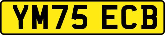 YM75ECB
