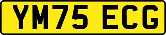 YM75ECG