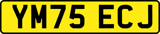 YM75ECJ
