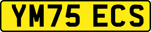 YM75ECS