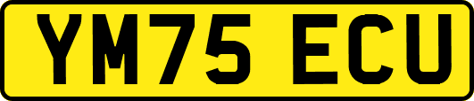 YM75ECU