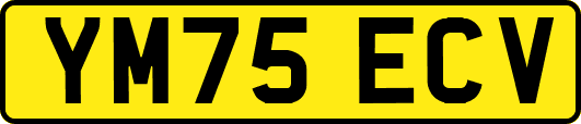 YM75ECV